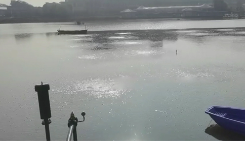 黑偉沉水風機杭州蕭山區(qū)某河道生態(tài)治理